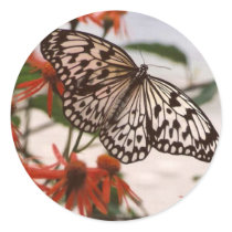 BLACK & WHITE BUTTERFLY WITH ORANGE FLOWERS STICKERS