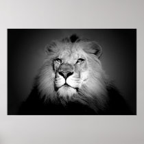 Black & White / BW Lion Poster Print - Lion Face