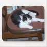 Black&White Cat In A Chair#3 Mouse Mat