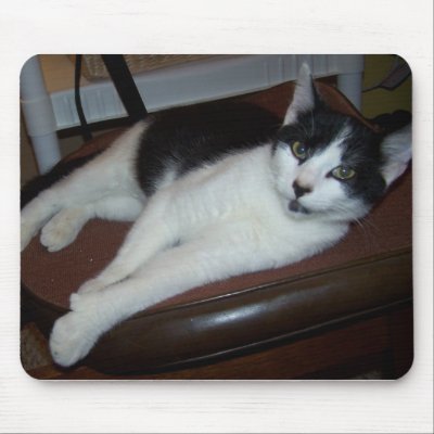Black&White Cat In Chair#2 Mouse Mats by SusanParsons