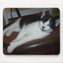 Black&White Cat In Chair#2 mousepads