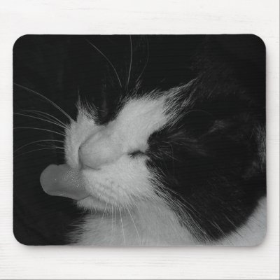 Black & White Cat Mouse Pad by alicattn