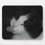Black & White Cat mousepads