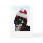 Black & White Cat Santa Hat looking left no frame Greeting Card