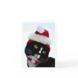 Black & White Cat Santa Hat looking left no frame Cards