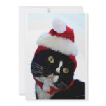 Black & White Cat Santa Hat looking left no frame invitations