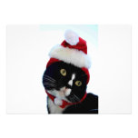 Black & White Cat Santa Hat looking left no frame Announcement