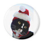 Black & White Cat Santa Hat looking left no frame Magnet