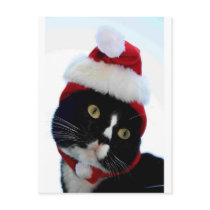 Black & White Cat Santa Hat looking left no frame Post Cards