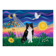 Black & White Cat - Twilight Cards