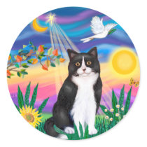Black & White Cat - Twilight