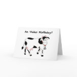 Black & White Cow