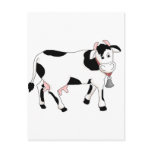 Black & White Cow