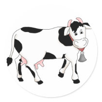 Black & White Cow