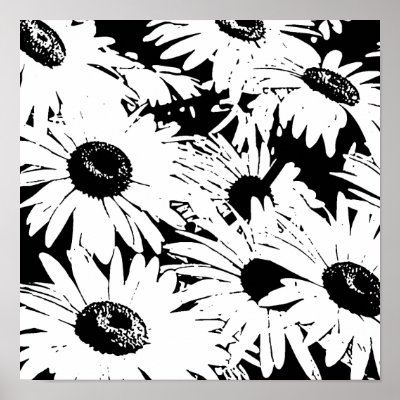 Black&White Daisies Print by whupsadaisy