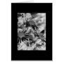 Black & White Daisy Card