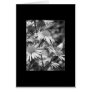 Black & White Daisy Card
