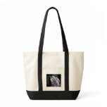 Black & White Duo Dressage Horse Harmony tote bag