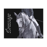 Black & White Duo Dressage Horse postcard