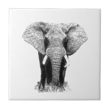 Black & White Elephant Tile