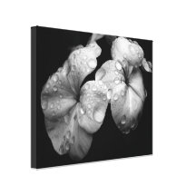 Black & White Flower Canvas Prints
