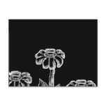 Black & White Flower Sketch postcards