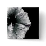 Black & White Hibiscus Flower Photography