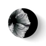 Black & White Hibiscus Flower Photography
