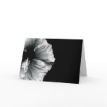 Black & White Hibiscus Flower Photography