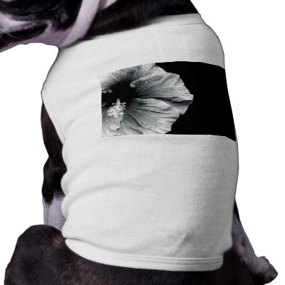 Black & White Hibiscus Flower Photography by VoXeeD