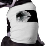 Black & White Hibiscus Flower Photography