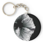 Black & White Hibiscus Flower Photography