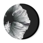 Black & White Hibiscus Flower Photography