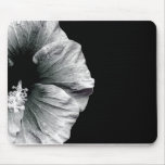 Black & White Hibiscus Flower Photography