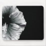Black & White Hibiscus Flower Photography