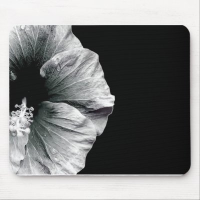 Black & White Hibiscus Flower Photography by VoXeeD