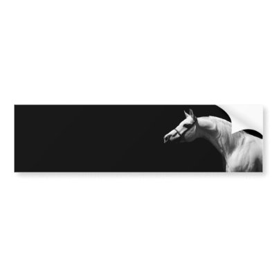 Black & White Horse Bumper Stickers by hizli_art