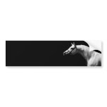 Black & White Horse bumper stickers