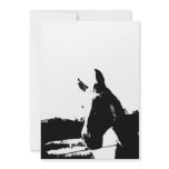 Black & White Horse Invitation