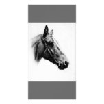 Black & White Horse photo cards