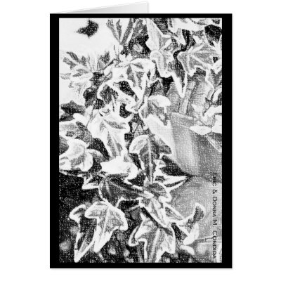 Black & White Ivy Greeting Card by creativeworks