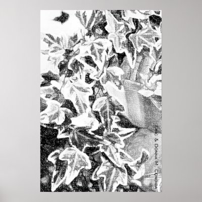 Black & White Ivy Poster by creativeworks