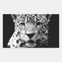 Black & White Jaguar Stickers