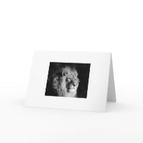 Black & White Lion Photo Card