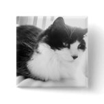 Black & White long-haired Cat Pin