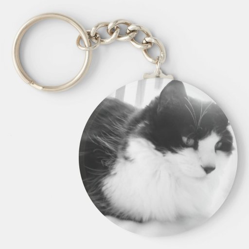 Black & White long-haired Cat Keychains