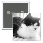 Black & White long-haired Cat Pin