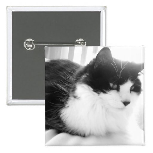 Black & White long-haired Cat Pin