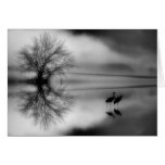 Black & White Morning Card
