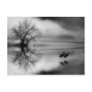 Black & White Morning Post Card